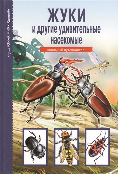 

Жуки и другие удивительные насекомые (714942)