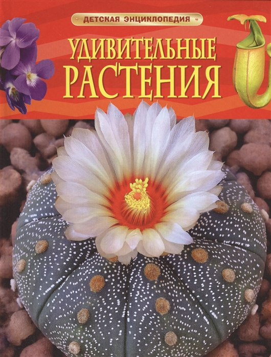 

Удивительные растения (1015703)