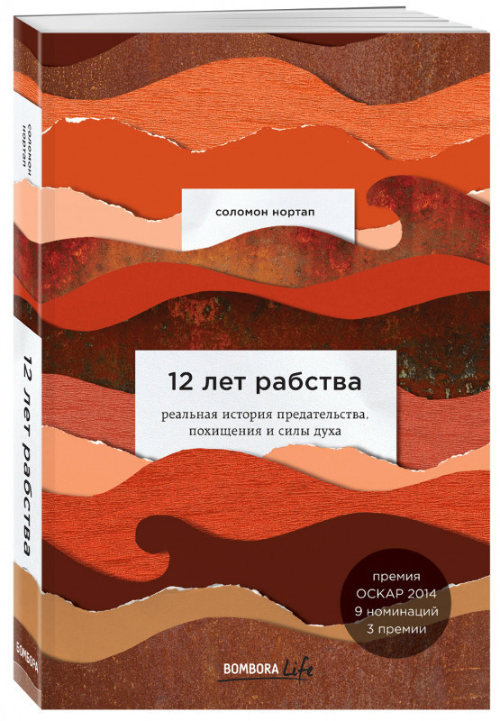 

12 лет рабства. Реальная история предательства, похищения и силы духа (4190689)