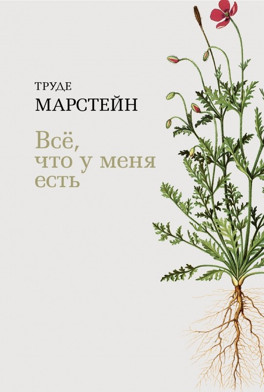 

Все, что у меня есть