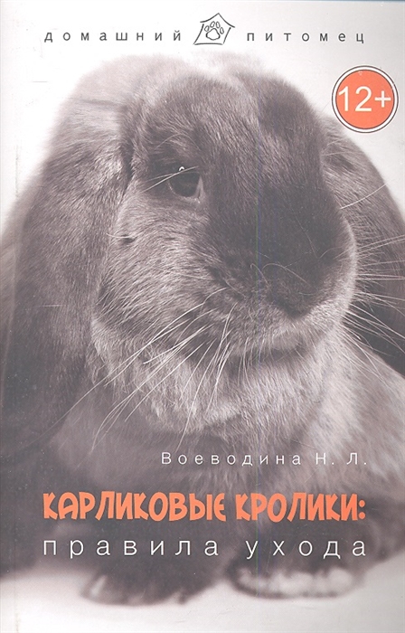

Карликовые кролики. Правила ухода