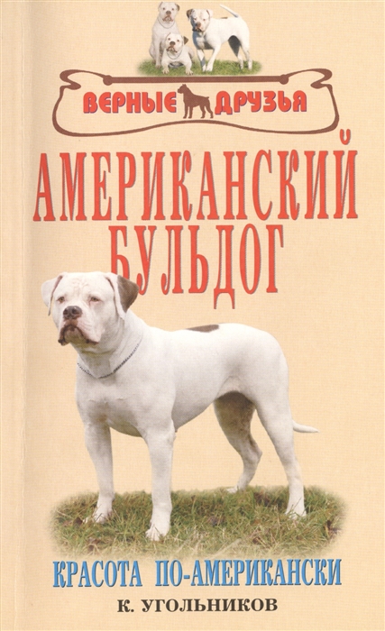 

Американский бульдог. Красота по-американски