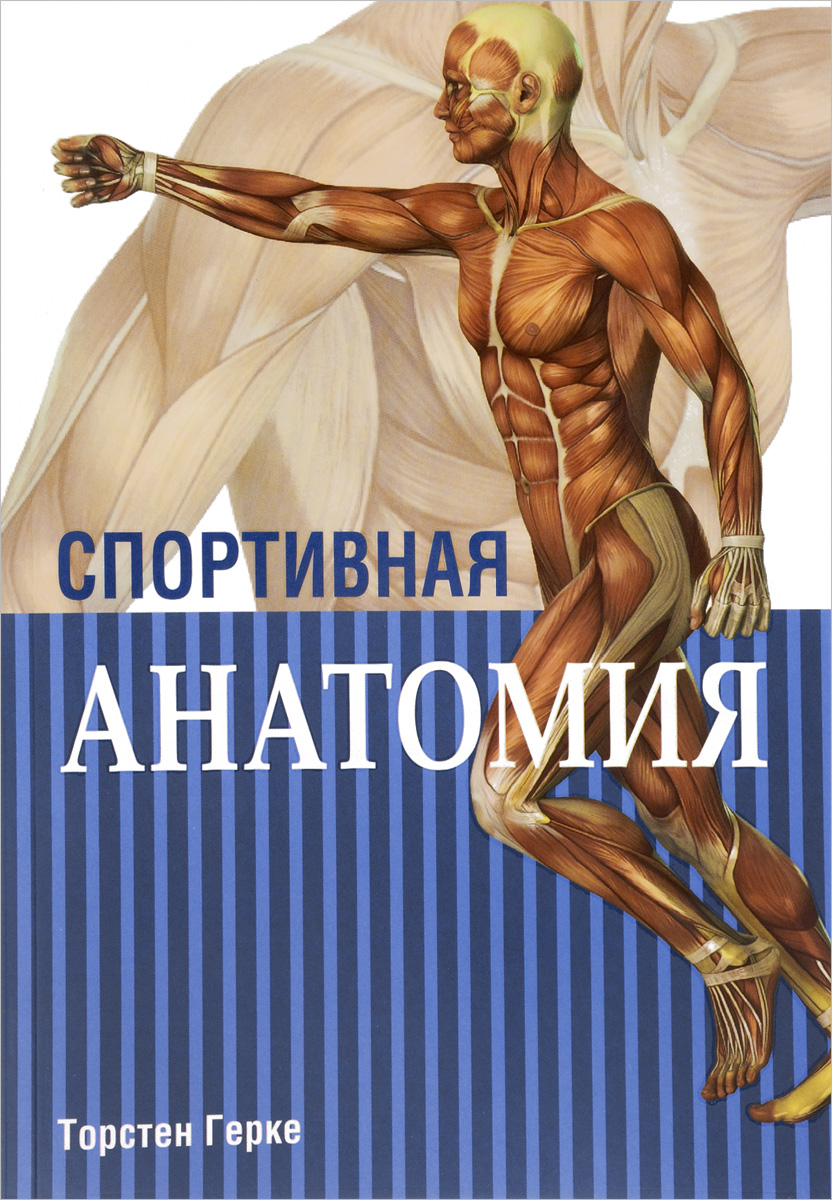 

Спортивная анатомия (1317654)