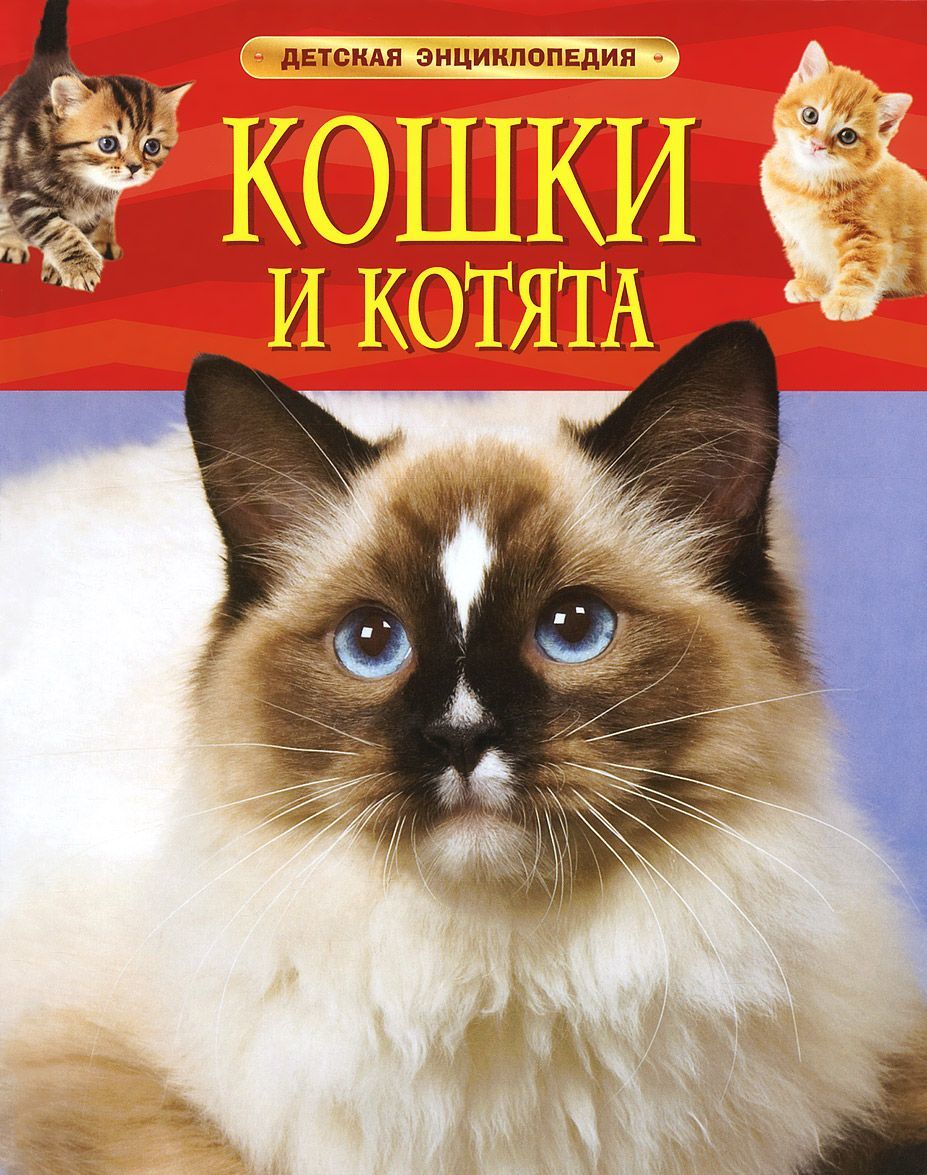 

Кошки и котята (887875)