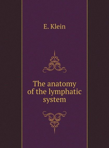 

The anatomy of the lymphatic system (2656657)