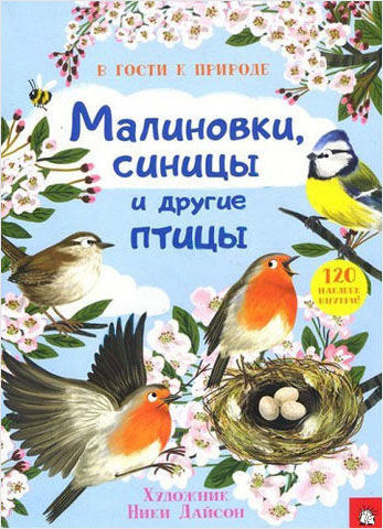 

В гости к природе. Малиновки, синицы и другие птицы