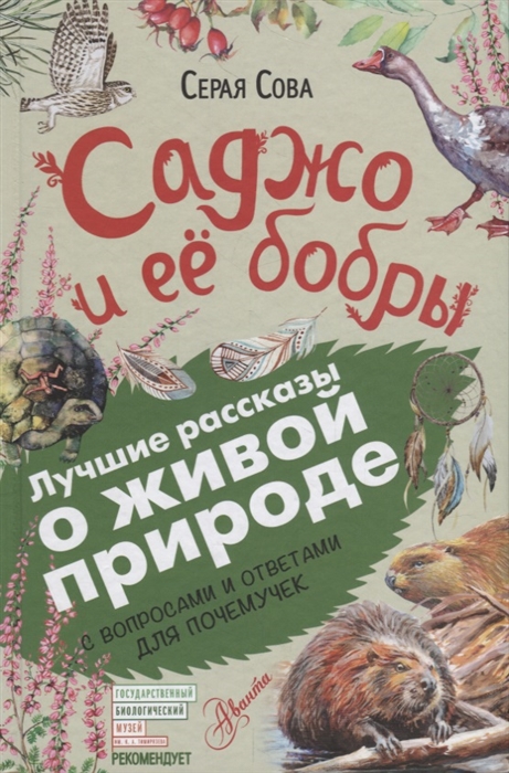 

Саджо и её бобры