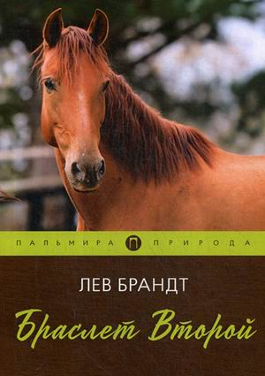 

Браслет Второй