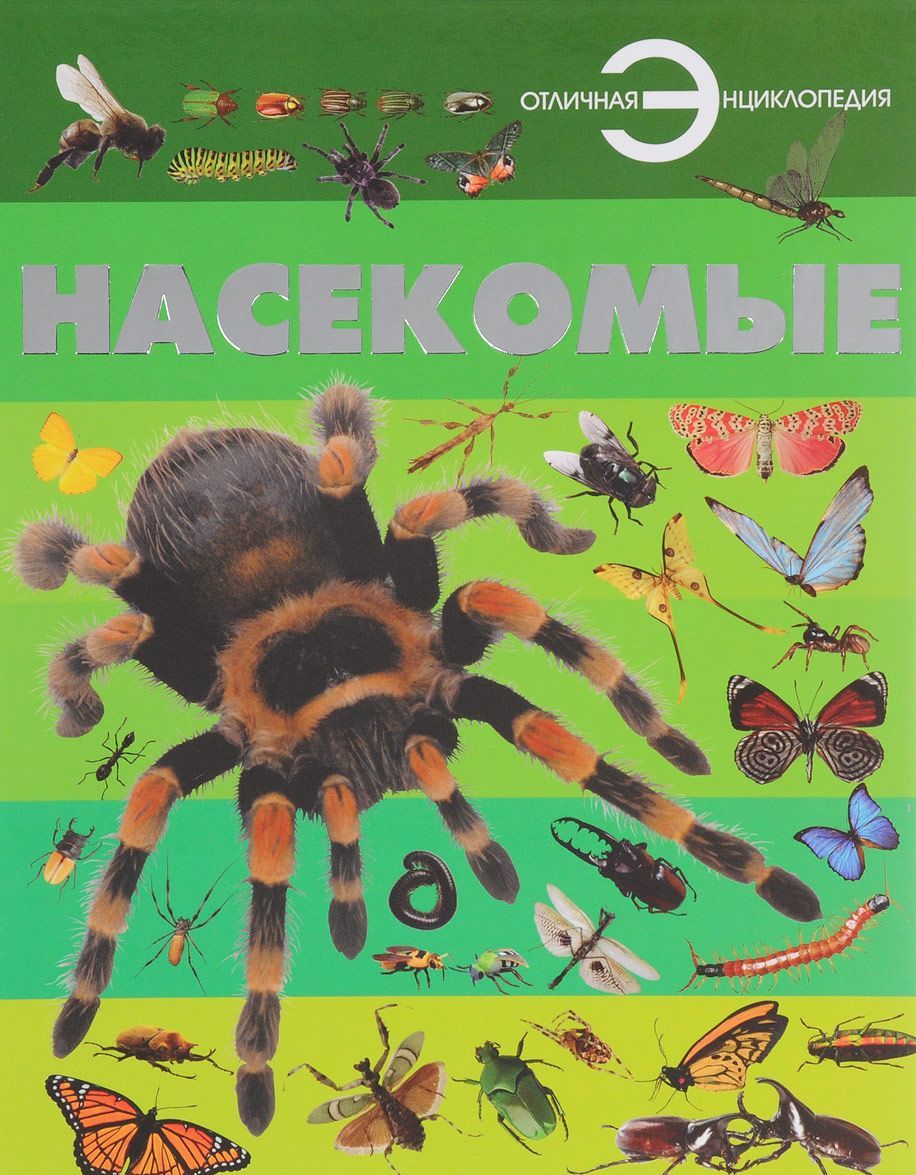 

Насекомые (1666447)