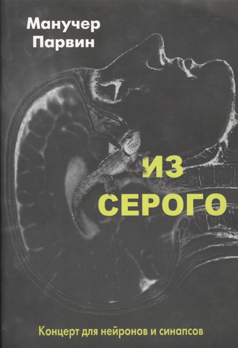 

Из серого. Концерт для нейронов и синапсов