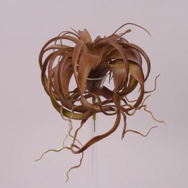 

Суккулент искусственный Flora коричневый 28 см. 72225