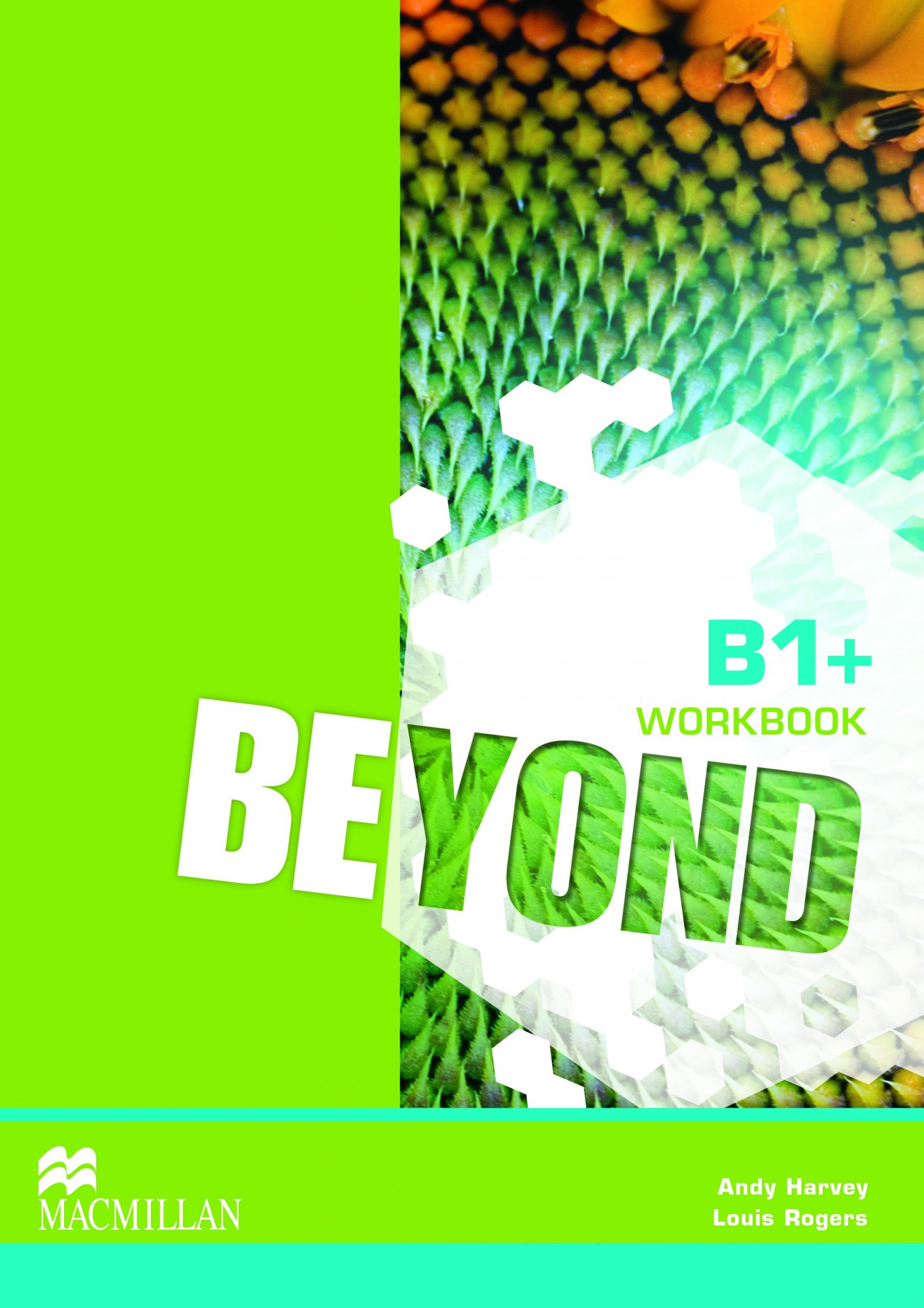 

Beyond Level B1+: Workbook - Louis Rogers - 9780230460201