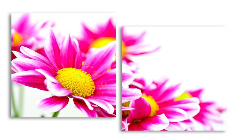 

Модульная картина LaPrint Цветы 200х109 см