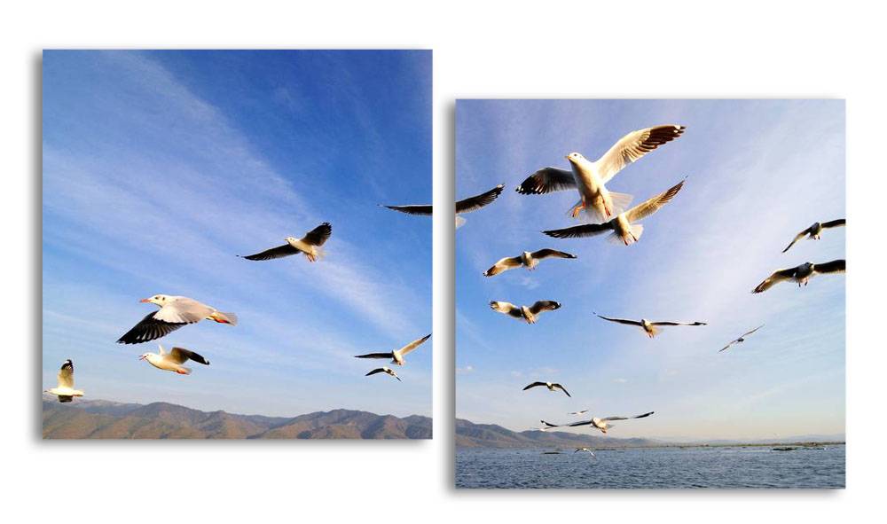 

Модульная картина LaPrint Чайки 200х109 см