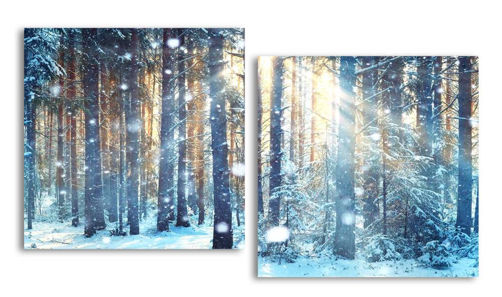 

Модульная картина LaPrint Солнечная зима 200х109 см