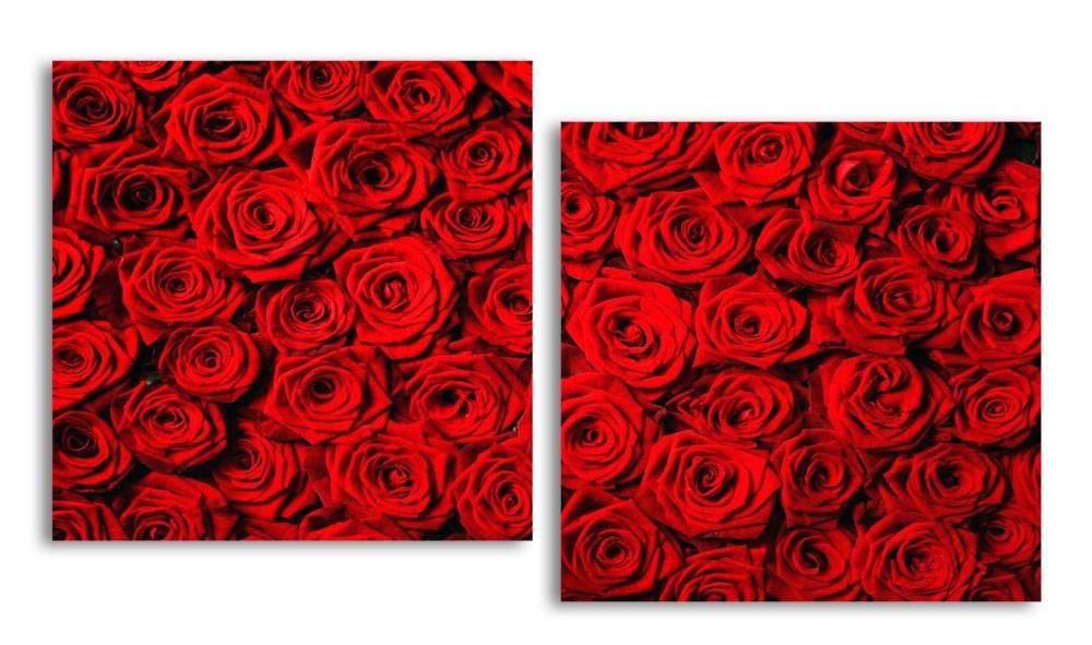 

Модульная картина LaPrint Красные розы 200х109 см