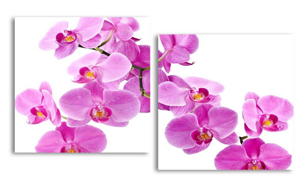

Модульная картина LaPrint Фиолетовая орхидея 200х109 см