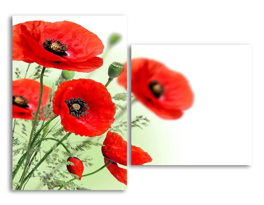 

Модульная картина LaPrint Мак 200х145 см