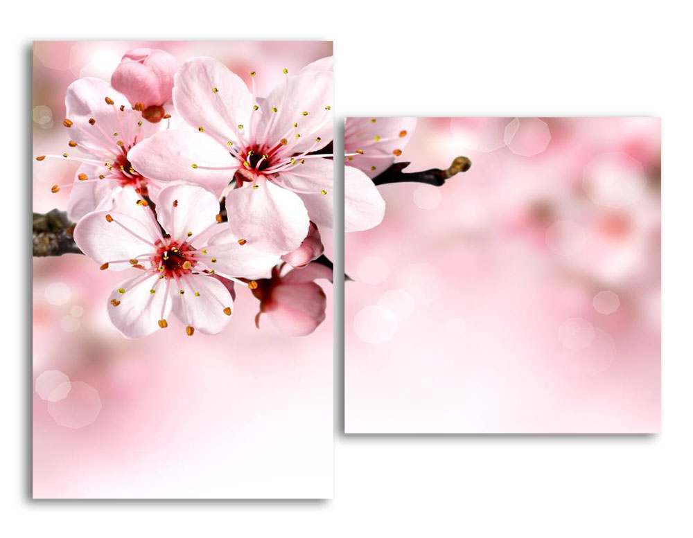 

Модульная картина LaPrint Цветы 200х145 см