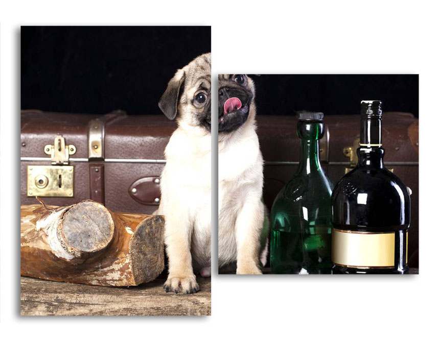 

Модульная картина LaPrint Собачка 200х145 см