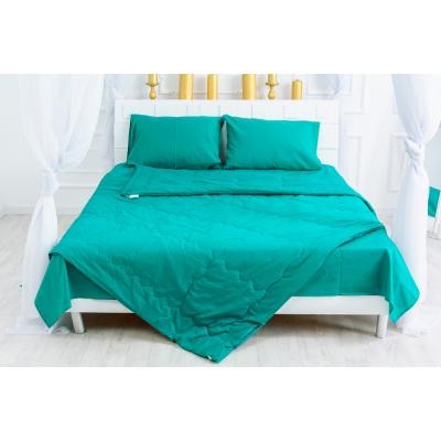 

Одеяло MirSon антиаллергенное Летнее с Eco-Soft 2337 Caterina 155x215