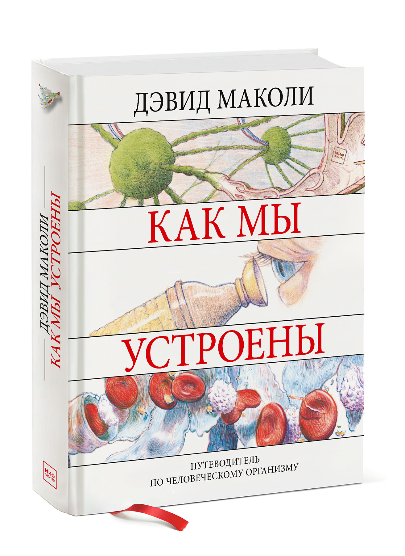 

Как мы устроены. Путеводитель по человеческому организму (1799038)