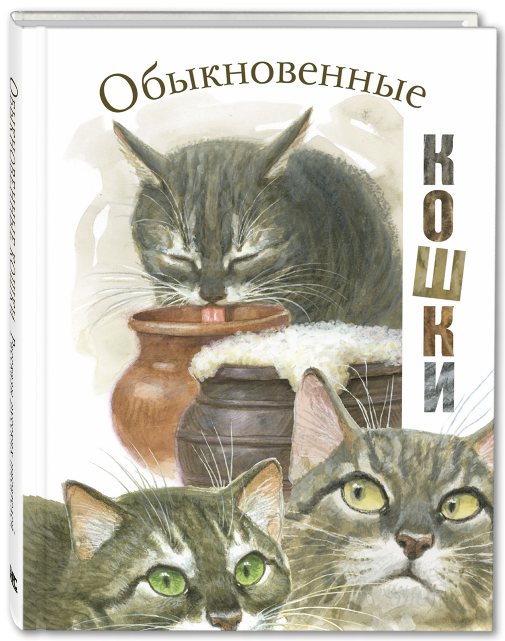

Обыкновенные кошки