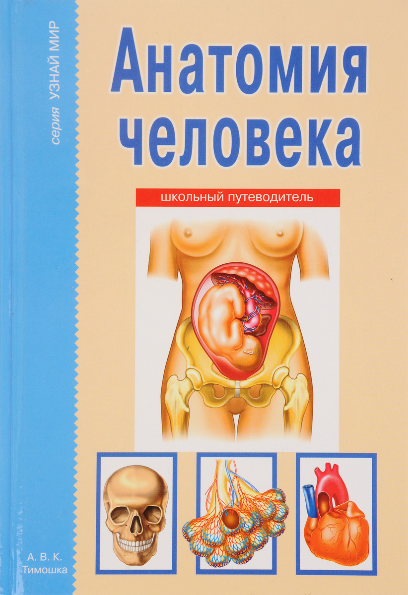 

Анатомия человека (1303613)