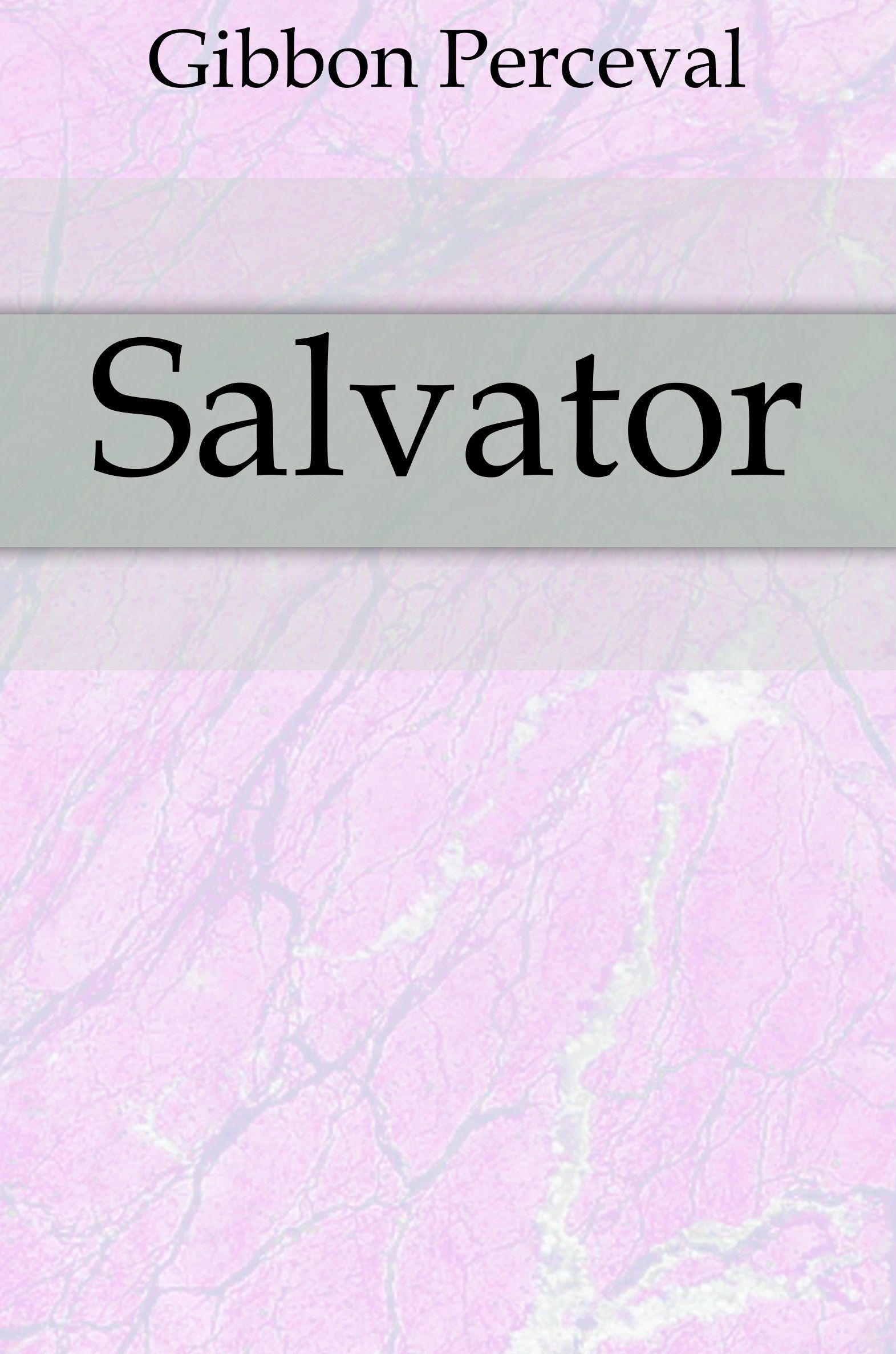 

Salvator