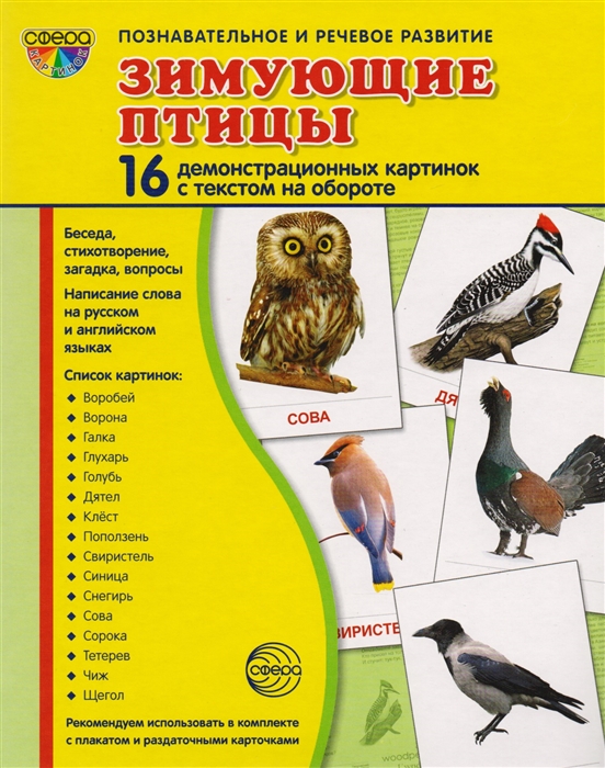 

Демонстрационные картинкиЗимующие птицы(16 картинок)