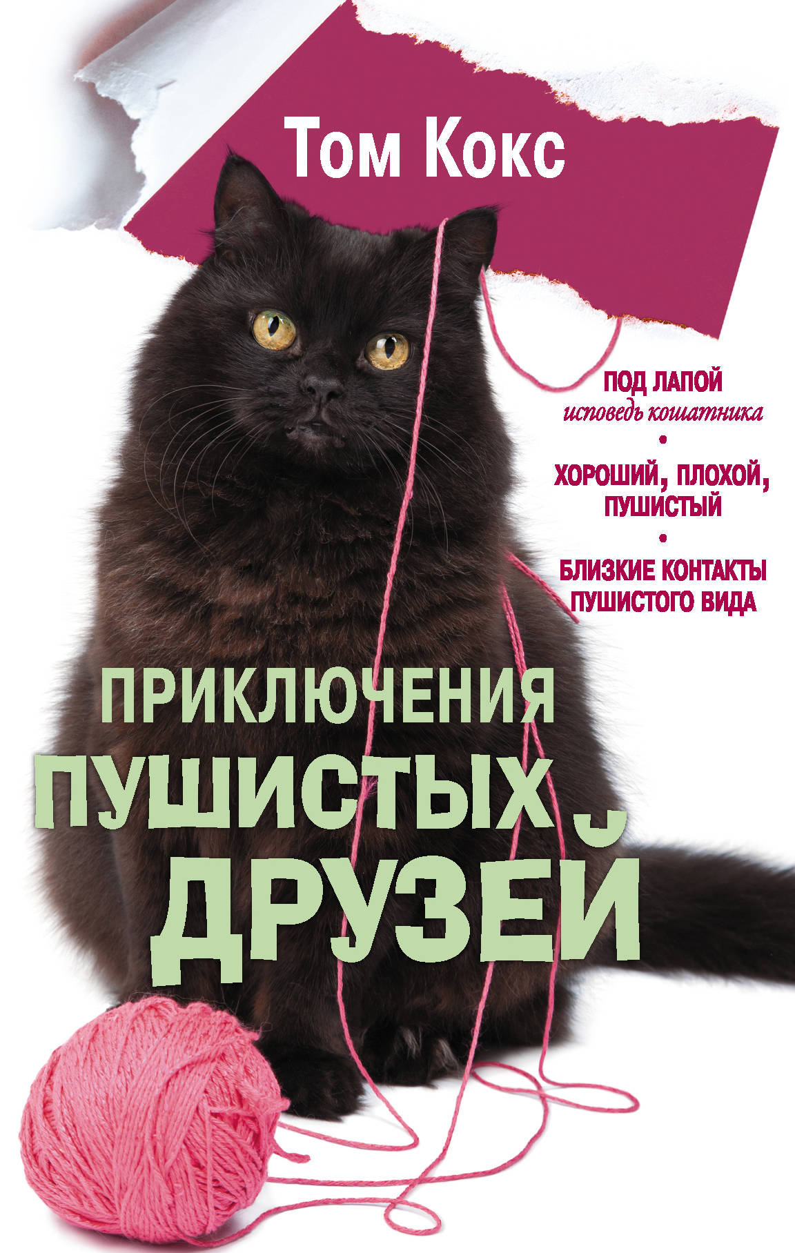 

Приключения пушистых друзей