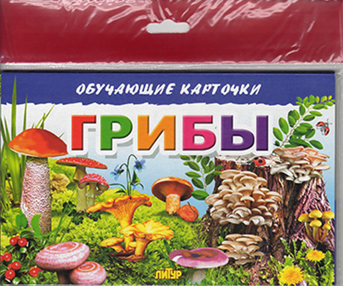 

Грибы. Обучающие карточки