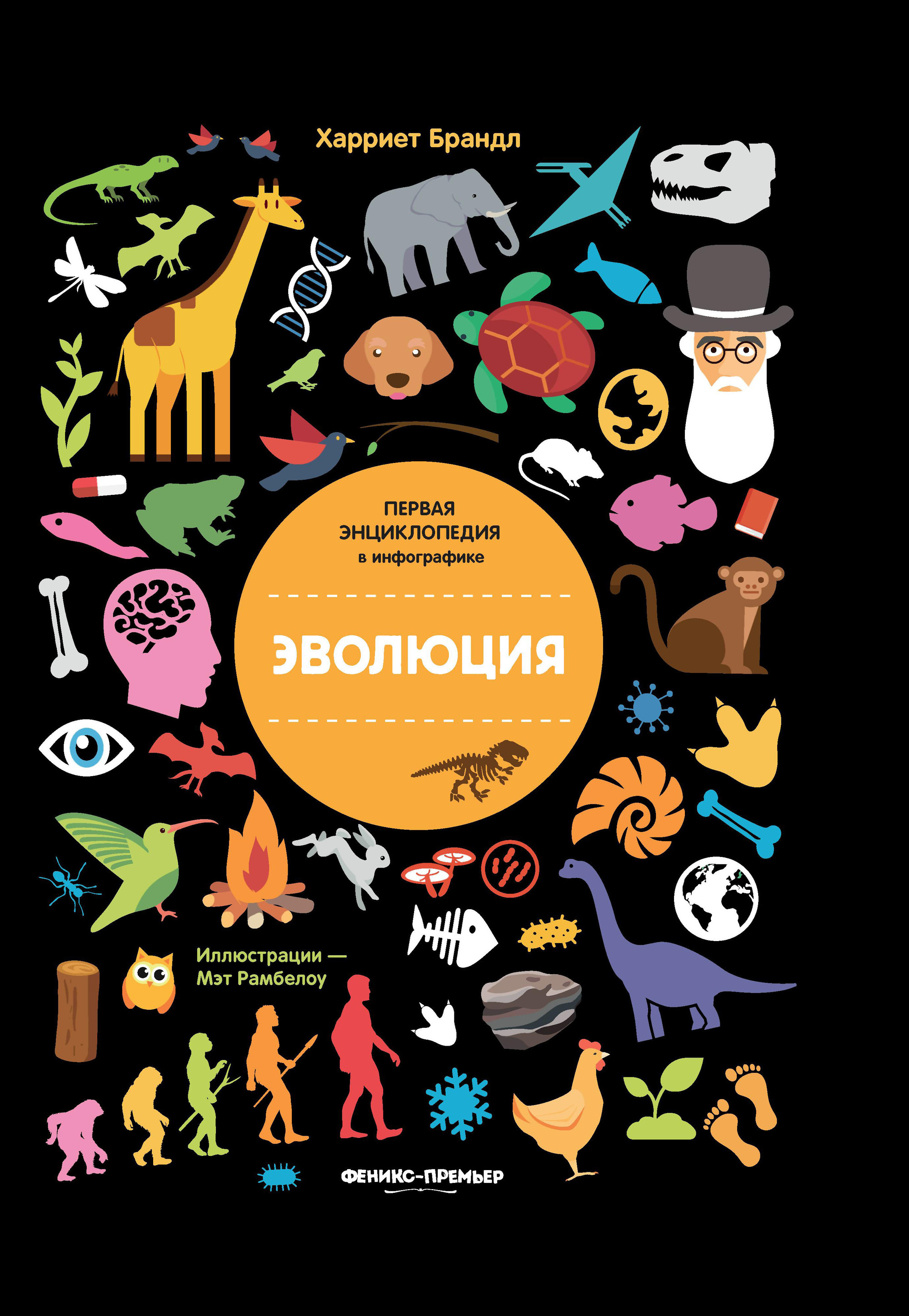 

Эволюция. Инфографика
