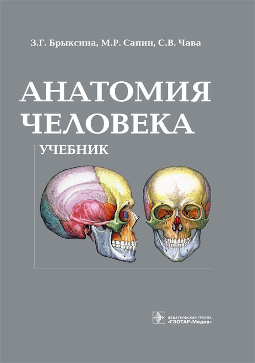 

Анатомия человека. Учебник для педагогических вузов (1192208)