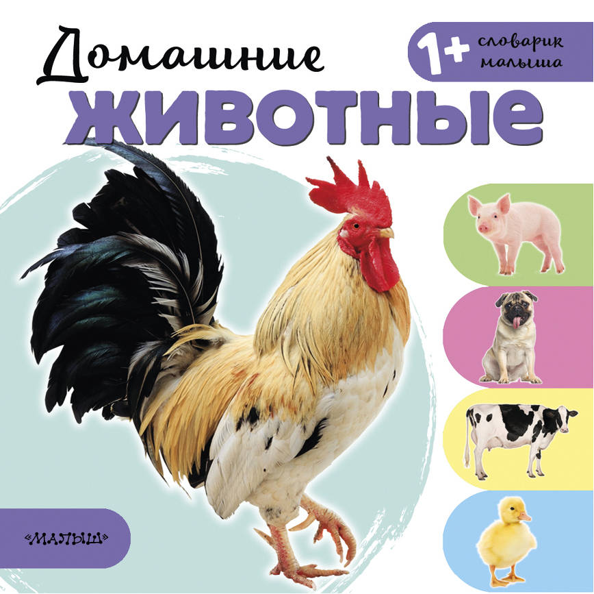 

Домашние животные (1787625)