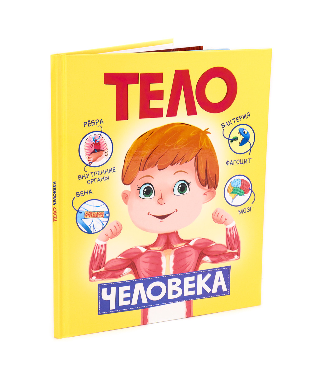 

Тело человека (4302884)