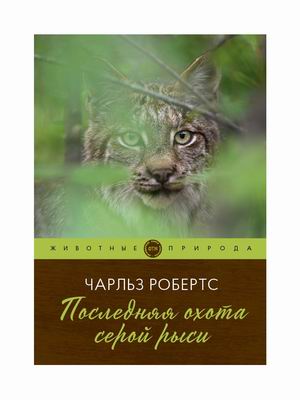 

Последняя охота серой рыси (4328916)