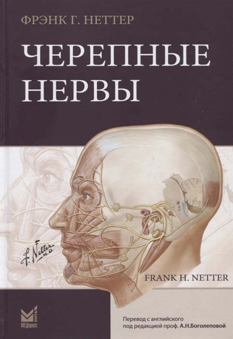 

Черепные нервы (4191024)