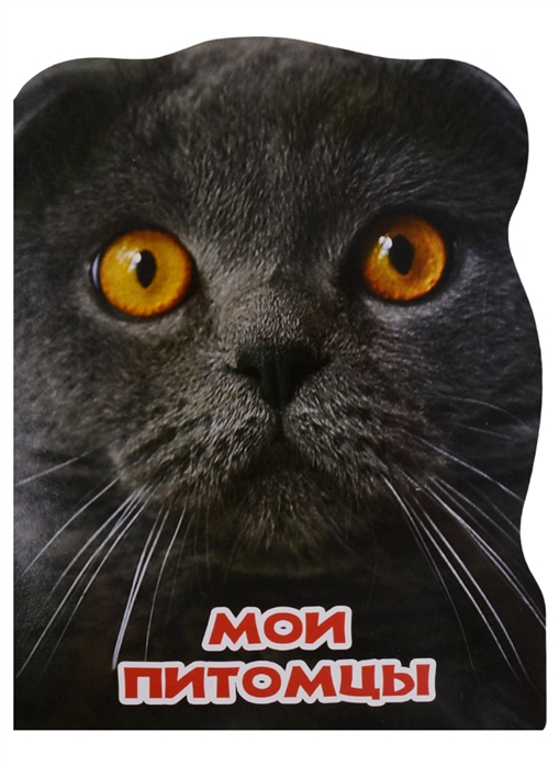 

Мир животных. Мои питомцы