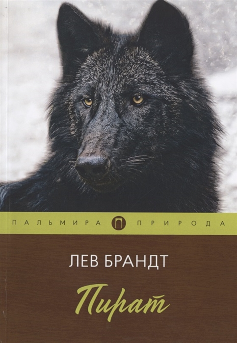 

Пират (4197948)