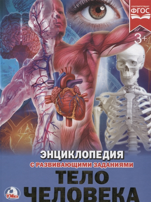 

Тело человека. Энциклопедия (1746978)