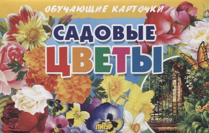

Обучающие карточки. Садовые цветы (4055996)