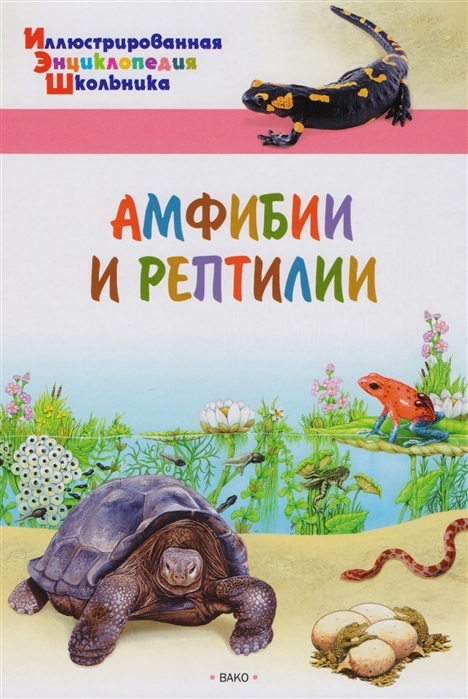 

Амфибии и рептилии (1661121)