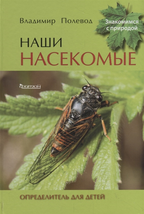 

Наши насекомые. Определитель для детей