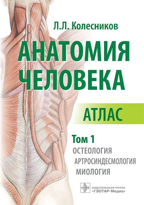 

Анатомия человека. Атлас в 3-х томах. Том 1. Остеология, артросиндесмология, миология