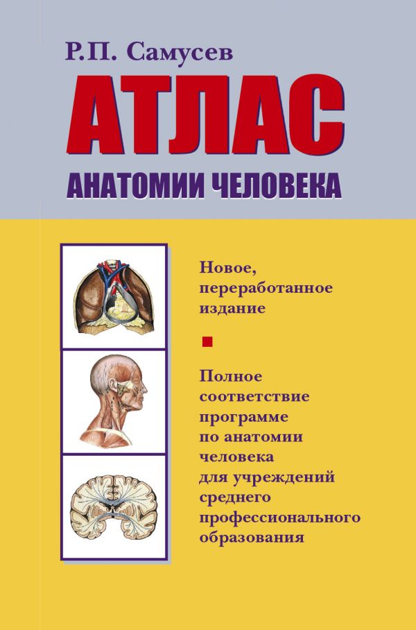 

Атлас анатомии человека (1651784)