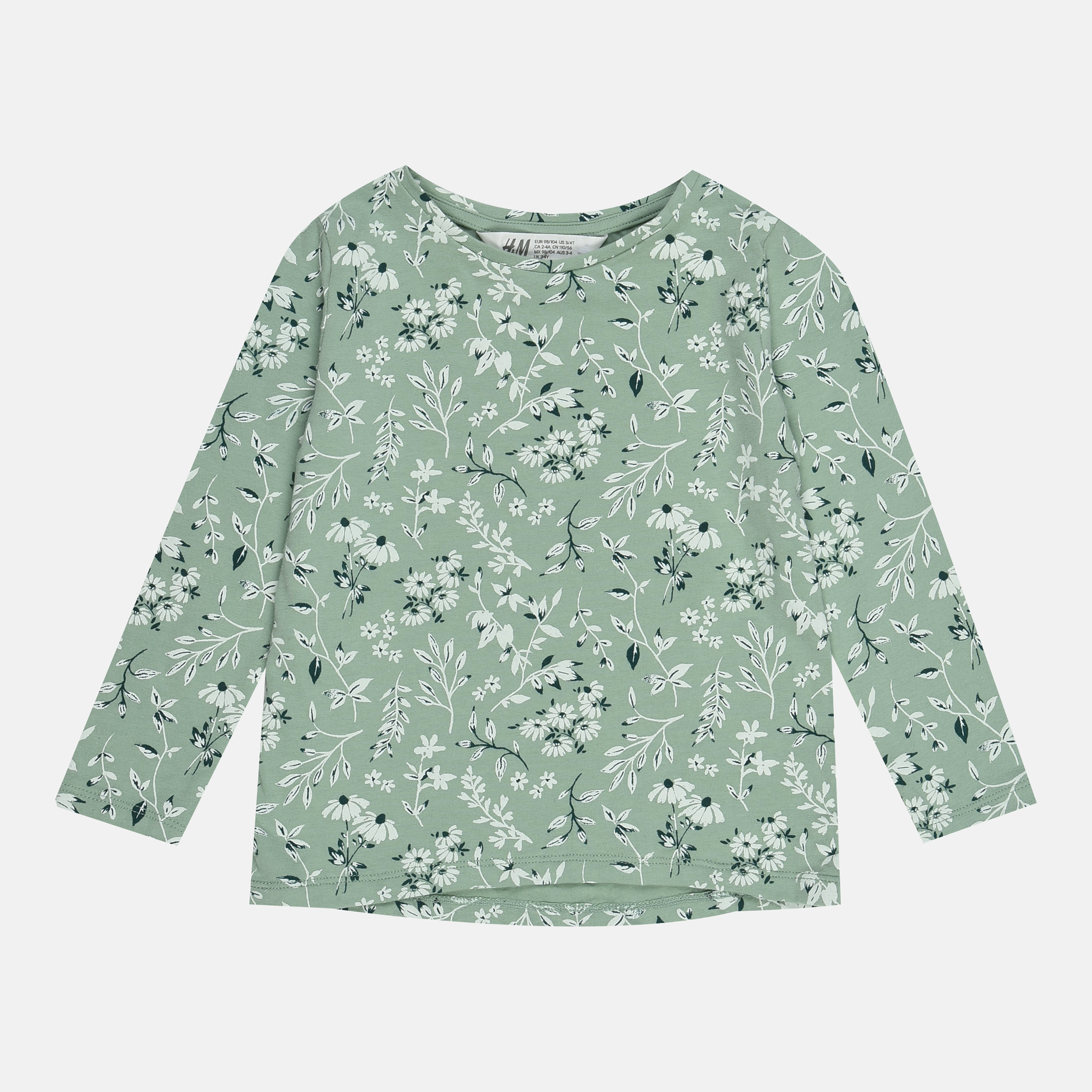 

Лонгслив H&M 122 128см бледно зеленый цветы 18038654262