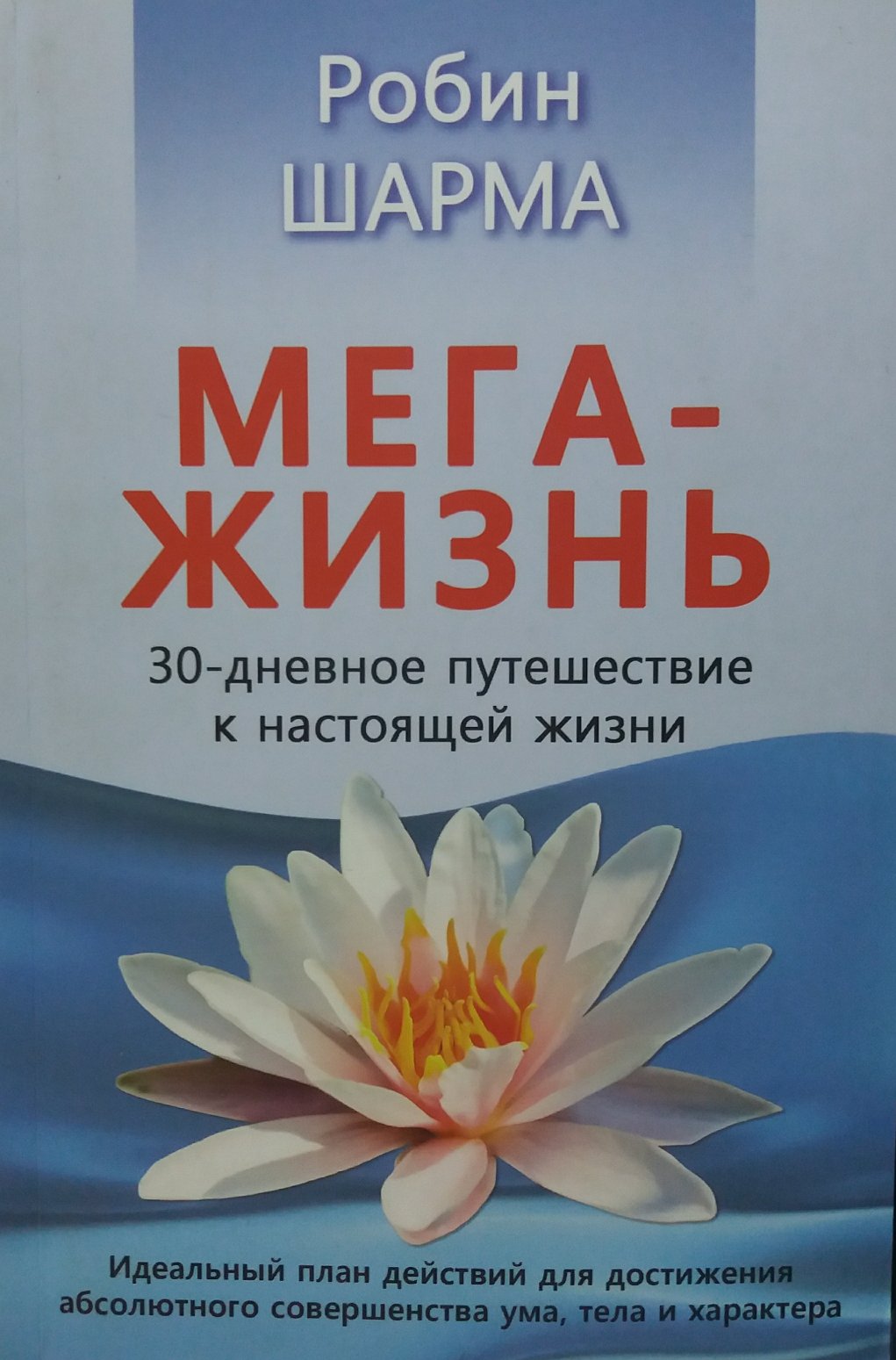 

Мега-жизнь - Робин Шарма
