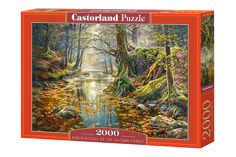 

Пазл Castorland 2000 элементов C-200757 "Воспоминание об весеннем лесу" 92*68 см