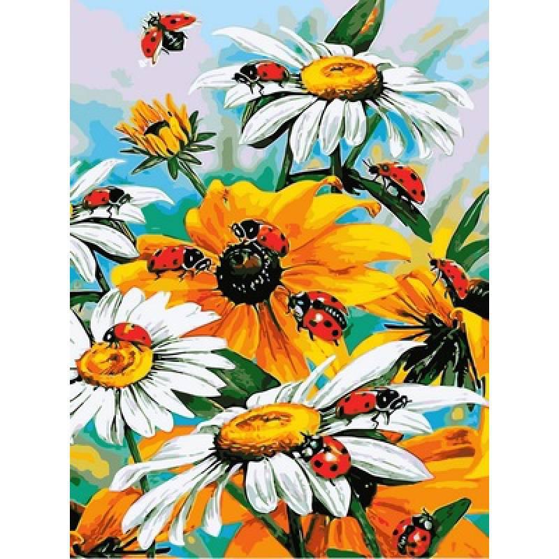 

Картина по номерам рисование Babylon Божьи коровки на цветниках 30х40см набор для росписи по цифрам в коробке